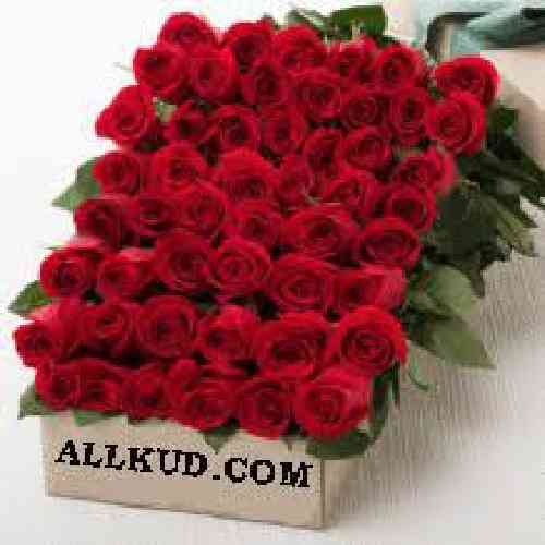 دانلود آهنگ به سقف آبشاران آمده یار مبارک بادا ستار کرامت‌الله